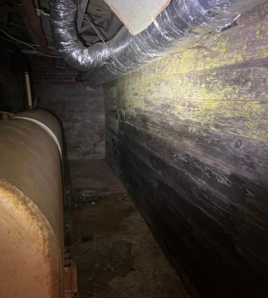 Ender Water Damage & Restoration