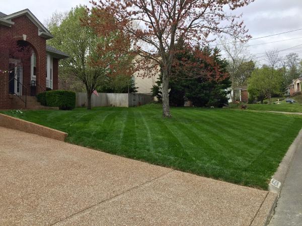 Driveways By Daniels & Sons