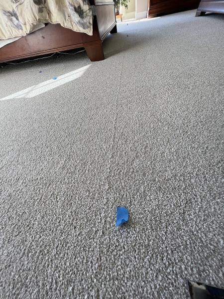 Protech Carpet Care