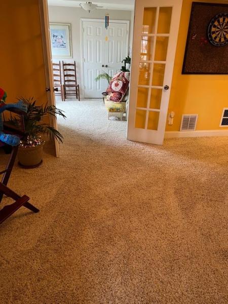 Protech Carpet Care