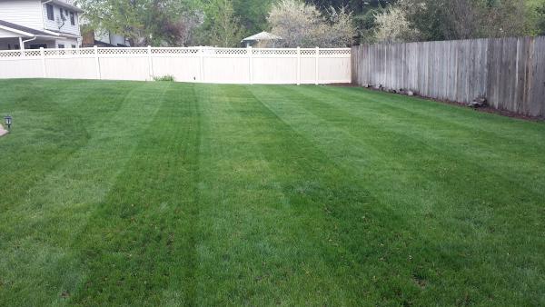 Ez Aeration