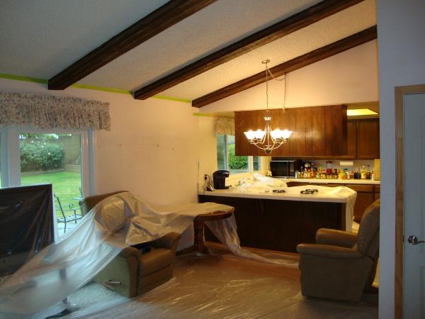 Acoustical Ceilings