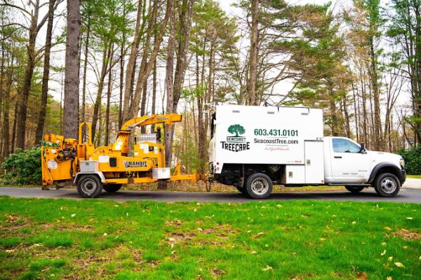 Seacoast Tree Care