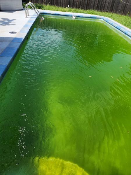 Integrity Pools