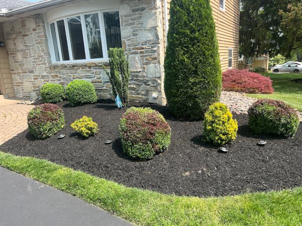 Galaxy Landscaping LLC