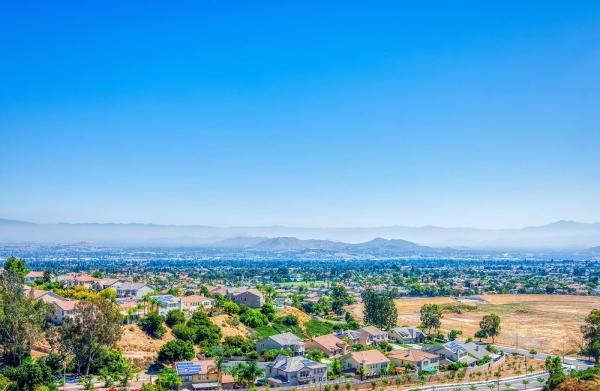 Grove Realty