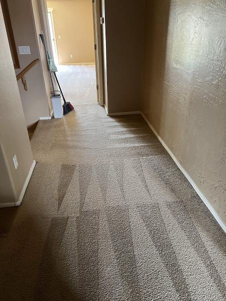 Steam Master Cleaning Phoenix