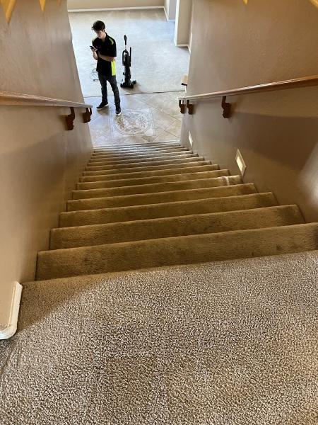 Steam Master Cleaning Phoenix