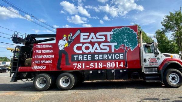 East Coast Tree Service LLC