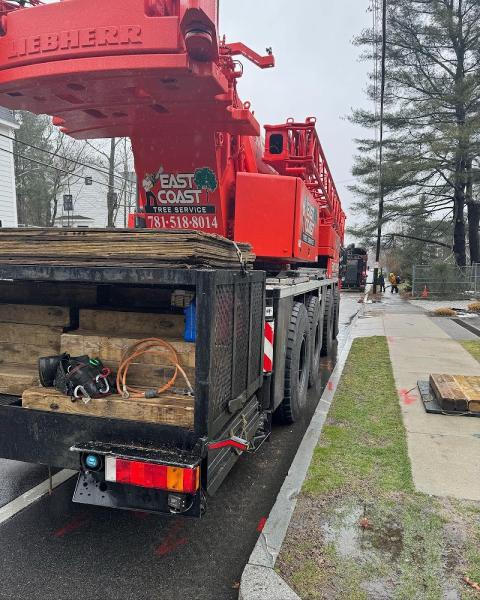 East Coast Tree Service LLC