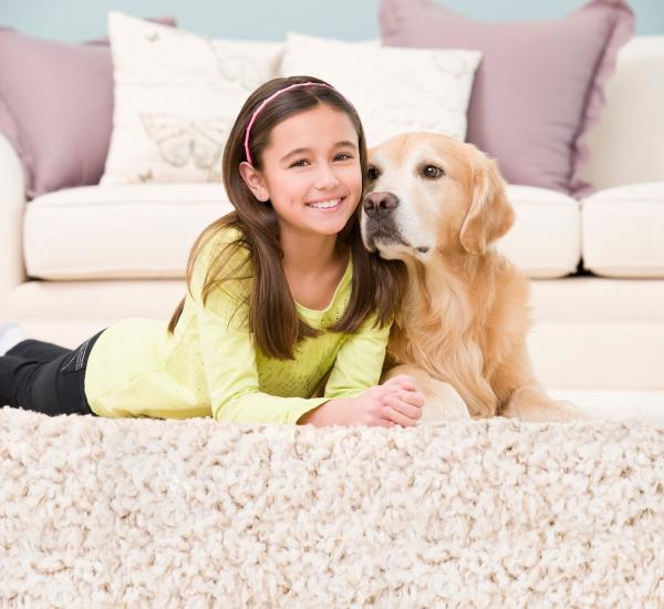 Clean Carpet Solutions