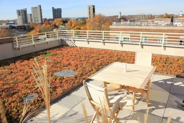 Recover Green Roofs