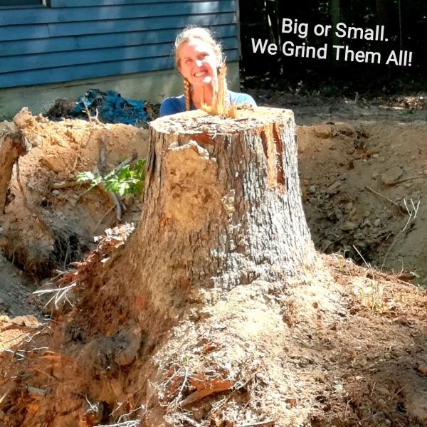 Bloom Stump Removal