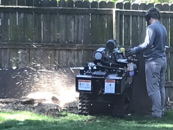 Bloom Stump Removal