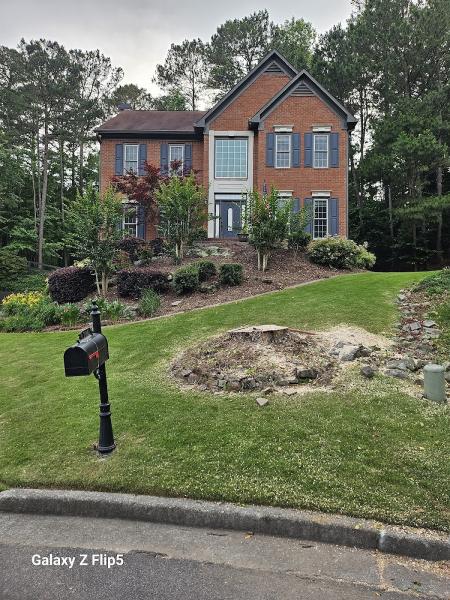 Cheap & Great Tree Services
