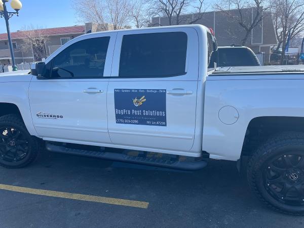 Bugpro Pest Solutions