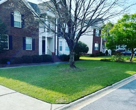 Ready Set Mow LLC