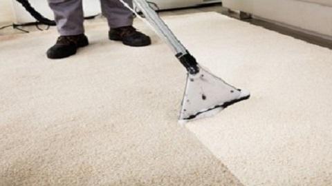 Ready Clean Carpet Cleaning