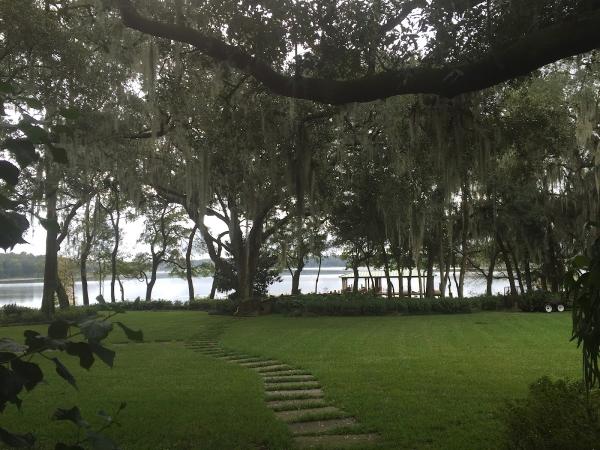 Barefoot Tree Service