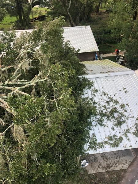 Barefoot Tree Service