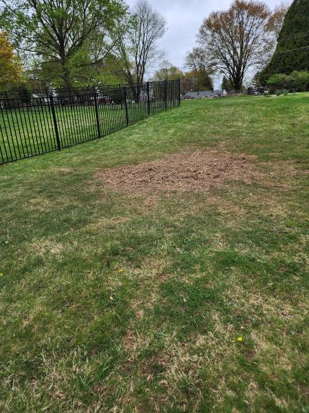 Pro Tree Services LLC