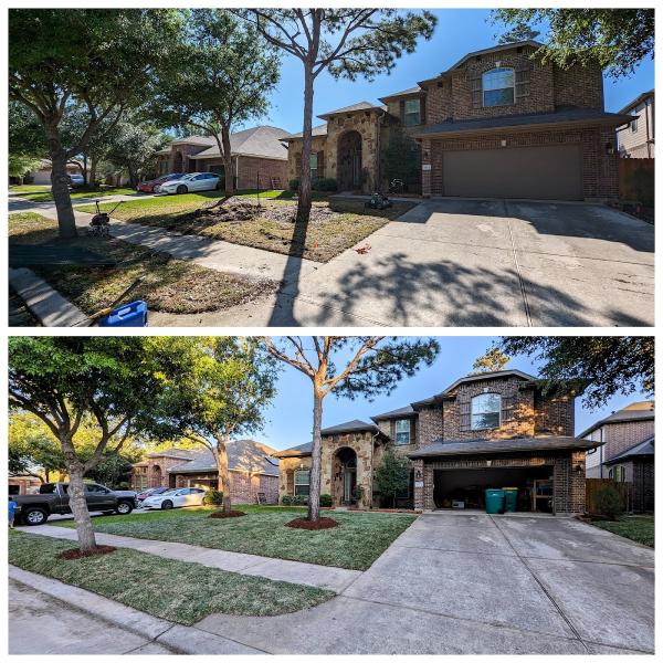 Texas Landscape Management