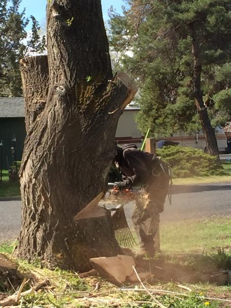 Artisan Tree Works
