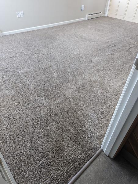 James Bond Carpet Cleaning