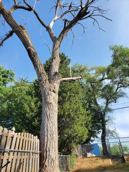 Sunworks Tree Services