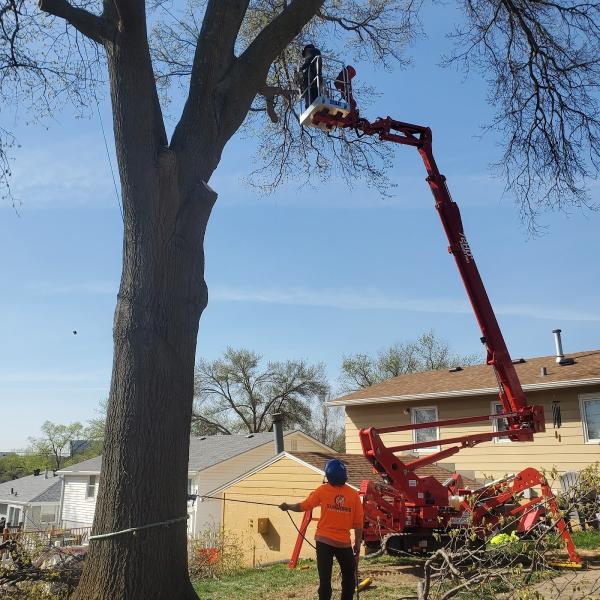 Sunworks Tree Services