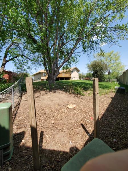 Sunworks Tree Services
