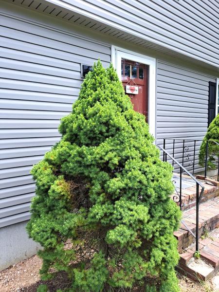 AMC Landscape & Design