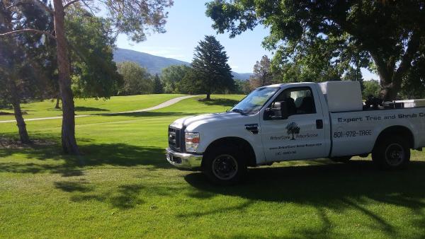 Arborcare-Arborscape
