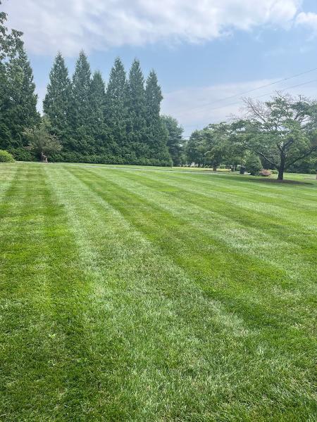 JCS Landscaping Services LLC