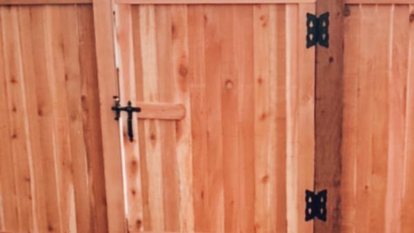 Gray Fencing Fort Collins