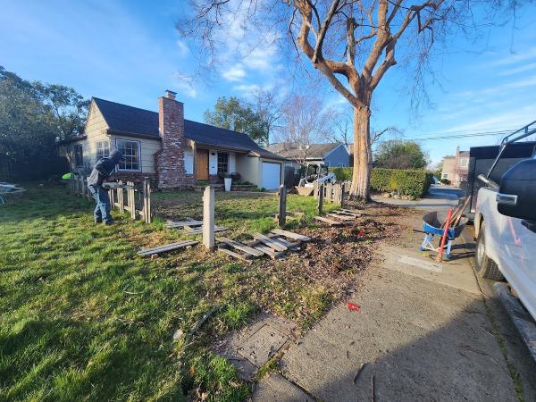 Matias Tree Service & Landscape Contractor