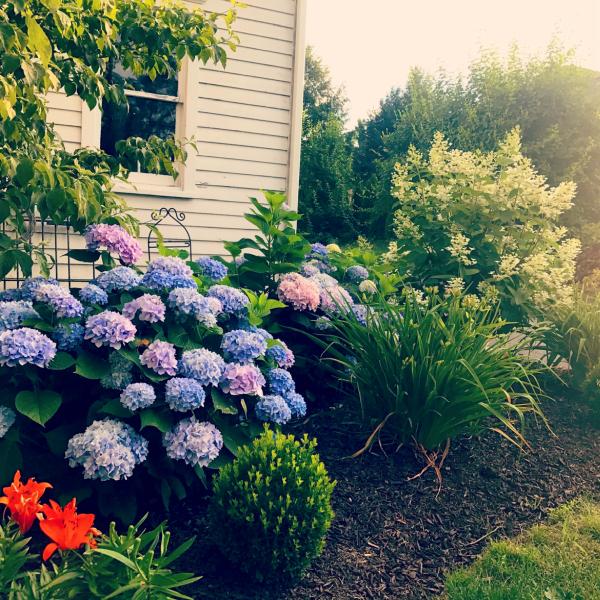 Ruggiero Landscaping