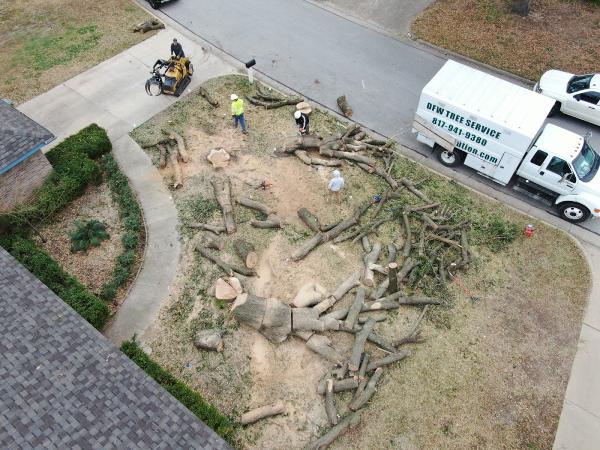 DFW Tree Solution