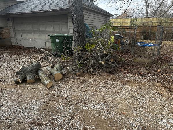 DFW Tree Solution