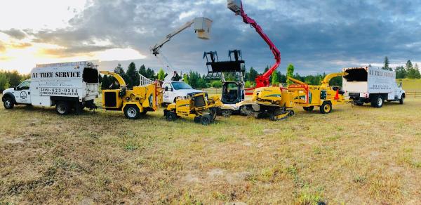 A1 Stump Removal & Tree Service