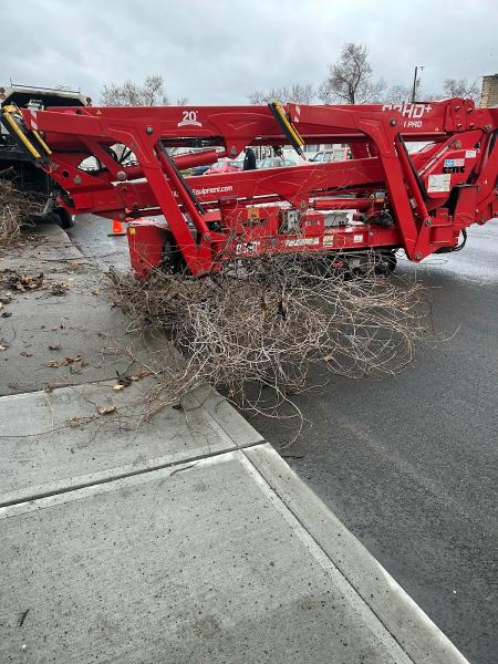 A1 Stump Removal & Tree Service