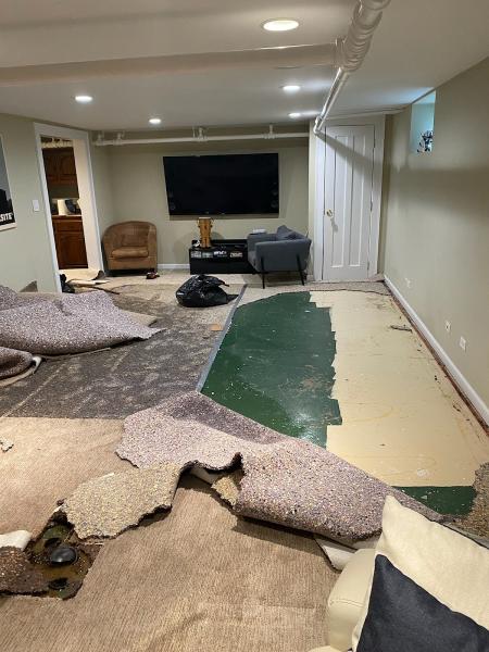 The Cleanup Guys