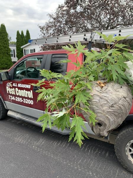 All Seasons Pest Control Inc.