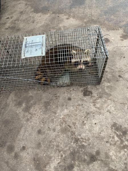 All Seasons Pest Control Inc.