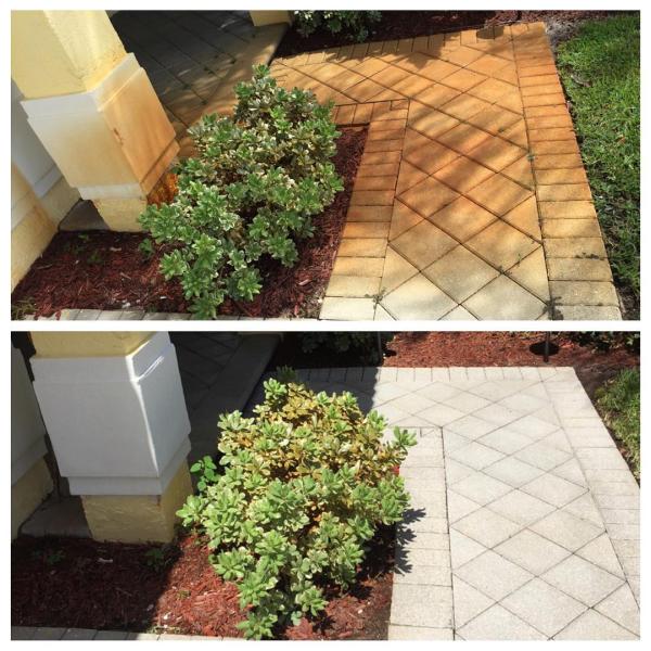 A & D Pressure Cleaning and Soft Wash Specialist