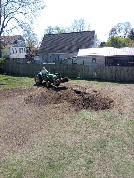 Shaffer Tree Services