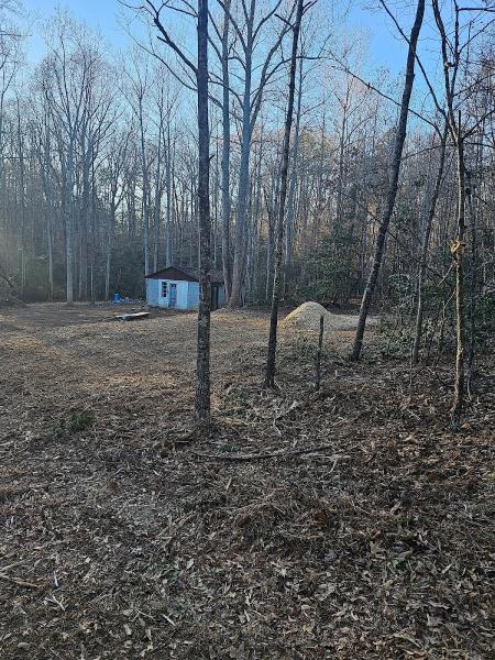 Georgia Clearing and Grading