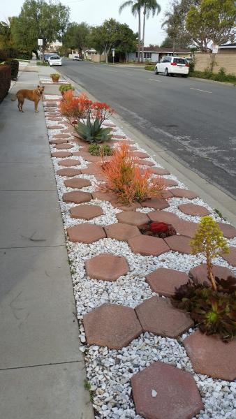Advanced Landscape