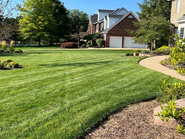 A Cut Above the Rest Landscaping Services LLC