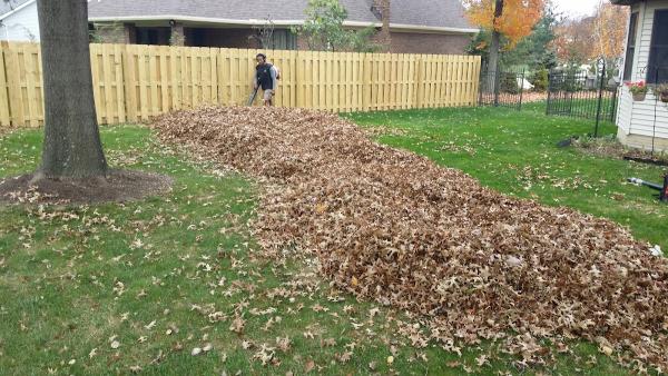 A Cut Above the Rest Landscaping Services LLC